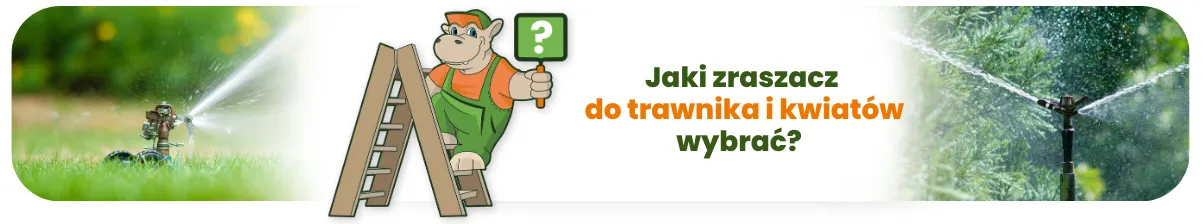Jaki zraszacz do trawnika i kwiatów wybrać? Na co warto zwrócić uwagę?